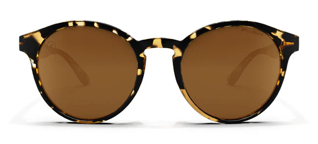 Blenders Eyewear Coastal X2 Gloss Tan Tortise / Amber Polarized Lens.
